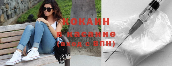 бошки Бородино