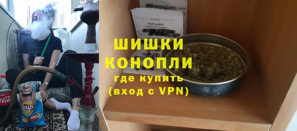 бошки Бородино