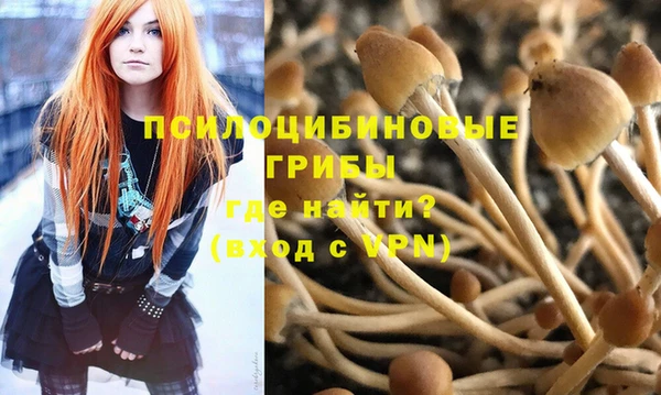 скорость Бронницы