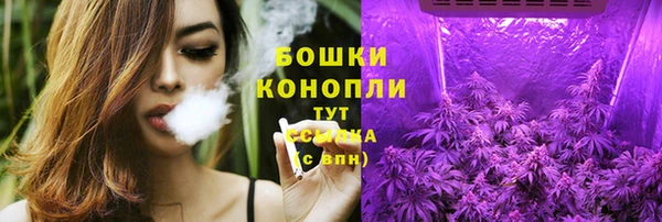 бошки Бородино